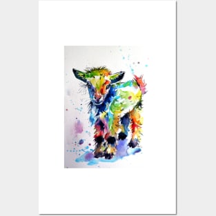 Cute baby goat Posters and Art